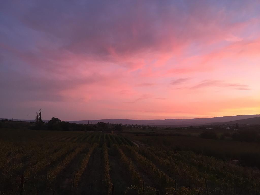 Calitzdorp Country House Bagian luar foto